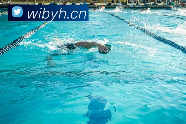 乐鱼在线登录最新官网品牌故事